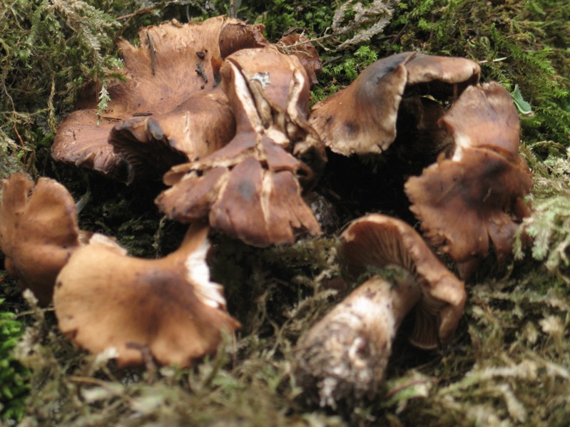 Cronaca di un sabato disgraziato